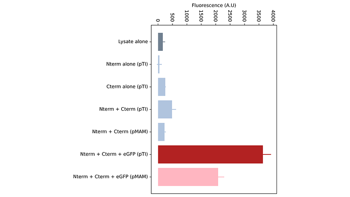 Avance II - 19052025 (69)