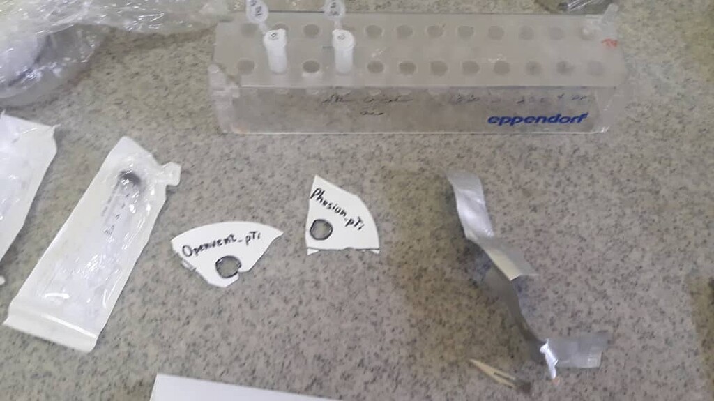 Extract plasmid DNA from paper with high yield no pollution (without a