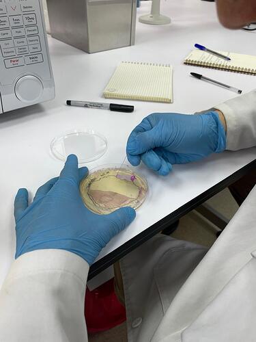 WhatsApp Image 2024-12-11 at 10.54.00