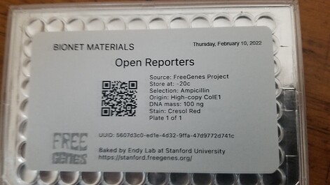 open reporters February 10 2022.jpg