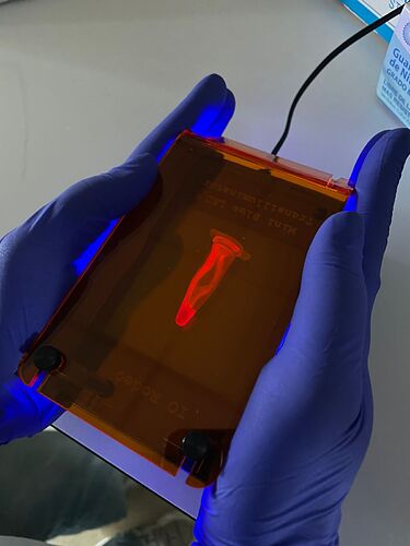 WhatsApp Image 2024-12-11 at 11.13.05 AM